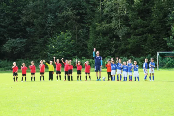 20.08.2017 VfR Bad Lobenstein vs. SG TSV 1860 Ranis