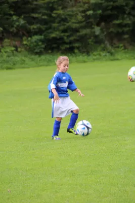 20.08.2017 VfR Bad Lobenstein vs. SG TSV 1860 Ranis