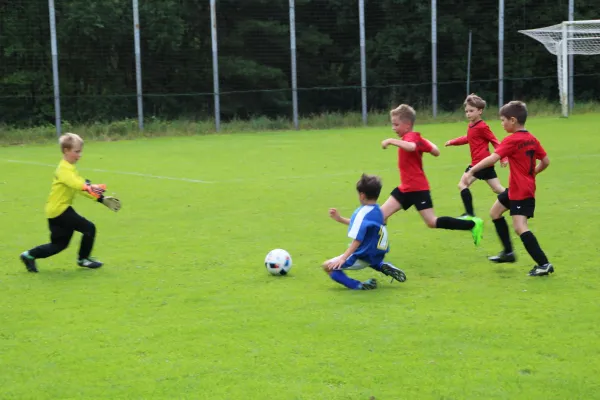 20.08.2017 VfR Bad Lobenstein vs. SG TSV 1860 Ranis