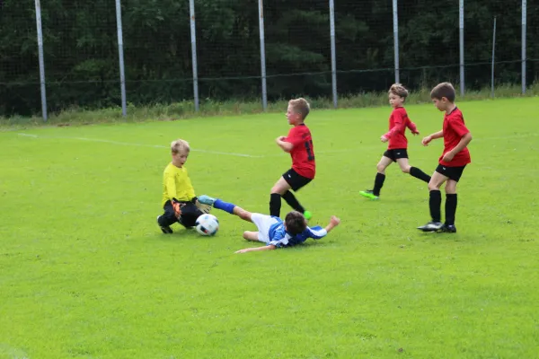 20.08.2017 VfR Bad Lobenstein vs. SG TSV 1860 Ranis