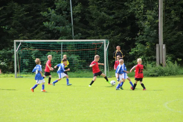 20.08.2017 VfR Bad Lobenstein vs. SG TSV 1860 Ranis