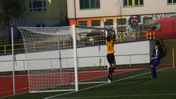 21.04.2018 VfR Bad Lobenstein vs. FC Thüringen Jena