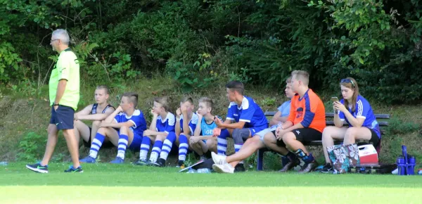 08.08.2018 SG VfR Bad Lobenstn. vs. SV BW Neustadt