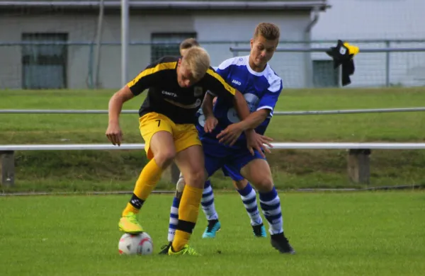 14.08.2019 FSV Schleiz vs. VfR Bad Lobenstein