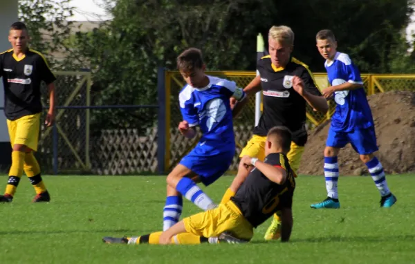 14.08.2019 FSV Schleiz vs. VfR Bad Lobenstein