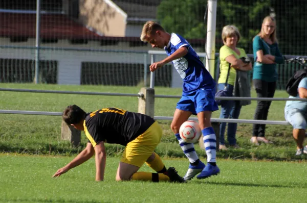 14.08.2019 FSV Schleiz vs. VfR Bad Lobenstein