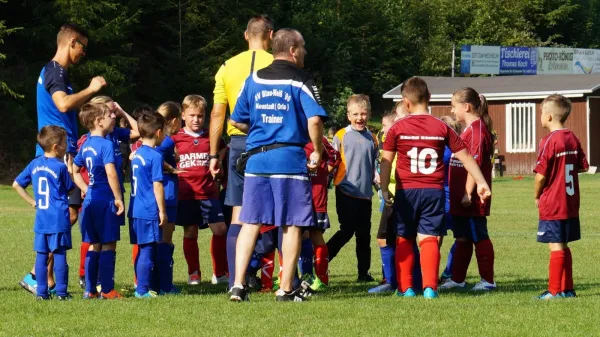 25.08.2019 VfR Bad Lobenstein vs. SV BW Neustadt II
