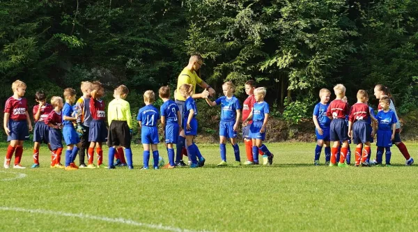 25.08.2019 VfR Bad Lobenstein vs. SV BW Neustadt II