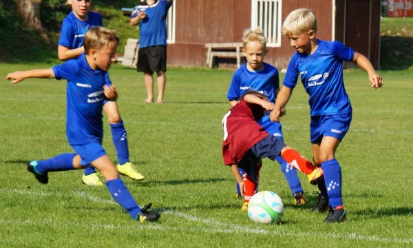 25.08.2019 VfR Bad Lobenstein vs. SV BW Neustadt II