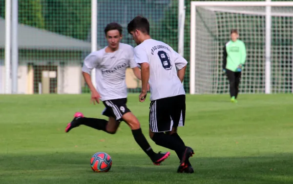 21.08.2020 VfR Bad Lobenstein vs. TUS Schauenstein