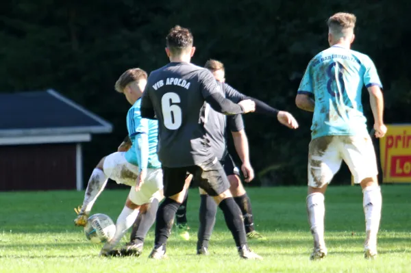 17.09.2022 SG VfR B. Lobenstein vs. VfB Apolda