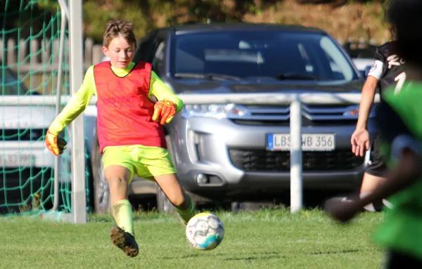 06.09.2022 VfR Bad Lobenstein vs. Rot. Rosenthal