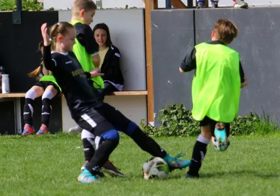 22.04.2023 Rot. Rosenthal vs. VfR Bad Lobenstein