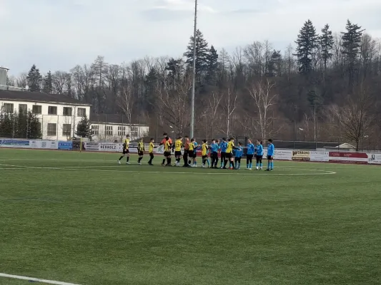 22.02.2025 VfR Bad Lobenstein vs. FC Thüringen Weida