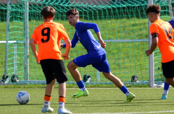 07.09.2025 BSG Wismut Gera vs. VfR Bad Lobenstein