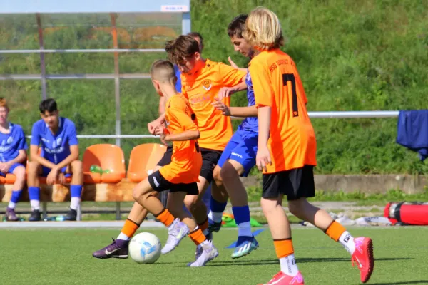 07.09.2025 BSG Wismut Gera vs. VfR Bad Lobenstein