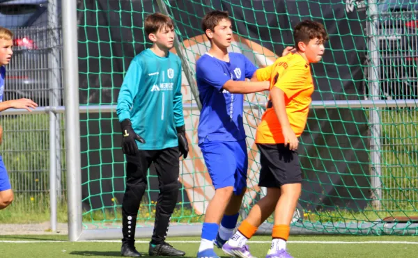 07.09.2025 BSG Wismut Gera vs. VfR Bad Lobenstein