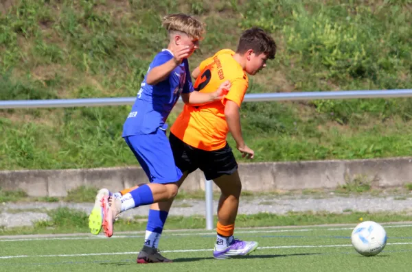 07.09.2025 BSG Wismut Gera vs. VfR Bad Lobenstein