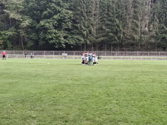 28.09.2025 VfR Bad Lobenstein vs. SV BW Neustadt